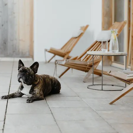 Kaiser In Tirol מלון דירות