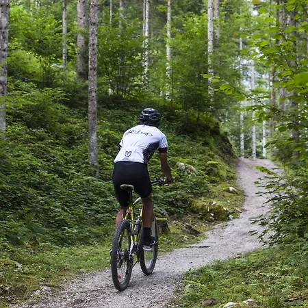 Kaiser In Tirol Scheffau am Wilden Kaiser