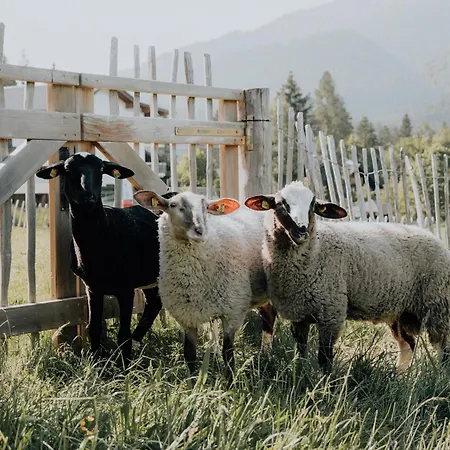 Kaiserlodge Lejlighedshotel