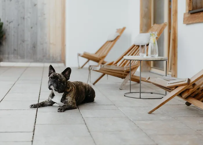 Kaiser In Tirol Apart-hotel