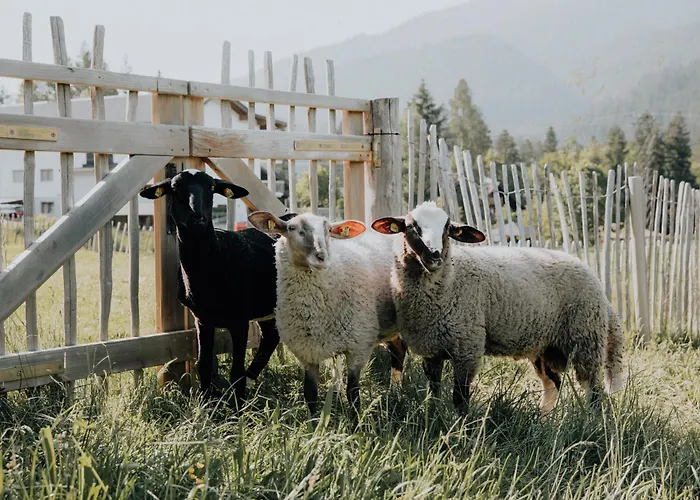 Kaiser In Tirol Apart-hotel