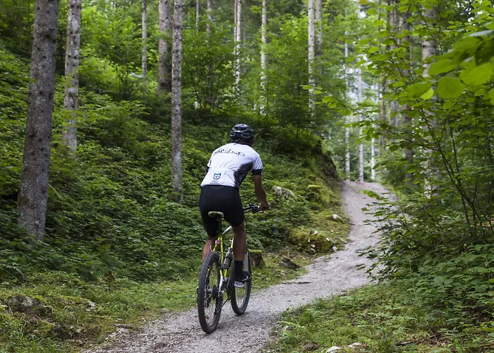 Kaiser In Tirol Scheffau am Wilden Kaiser